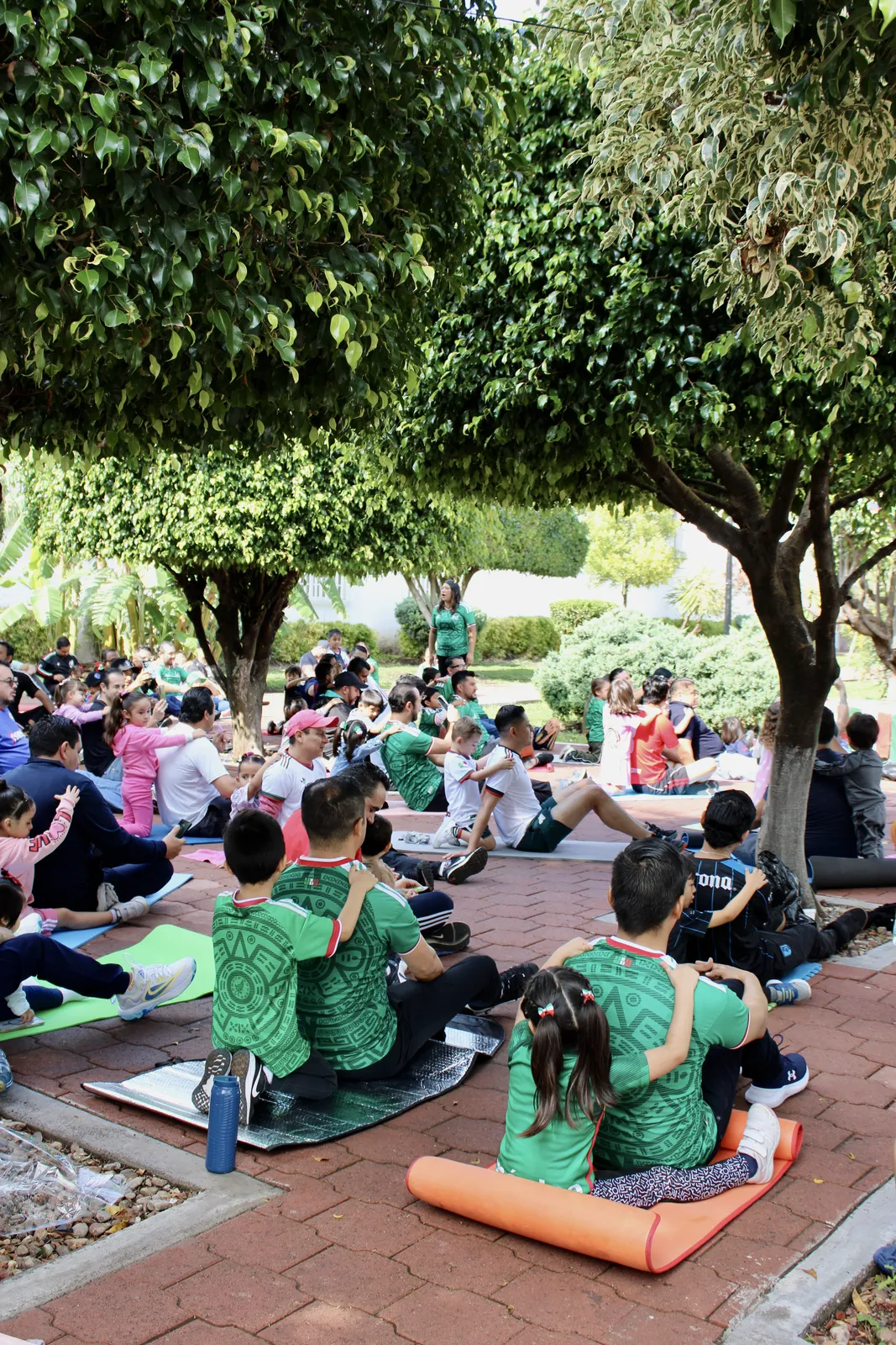 Clase de yoga en el parque